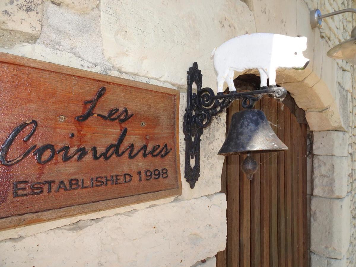 Les Coindries Villa Faye-la-Vineuse Eksteriør billede